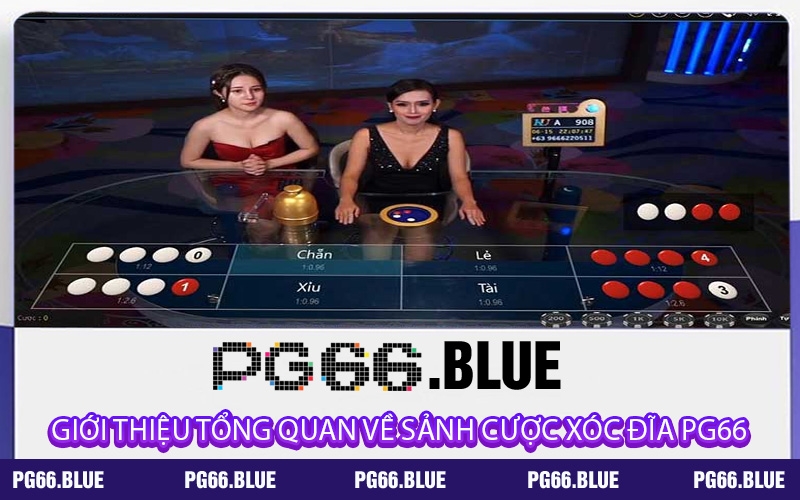 Giới thiệu tổng quan về sảnh cược Xóc Đĩa PG66